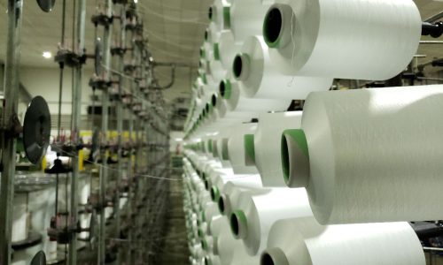 WhatsApp-Image-2023-08-09-at-15.23.06